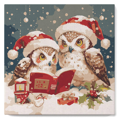 Mini Malen nach Zahlen mit Rahmen - Lesende Weihnachts-Eulen