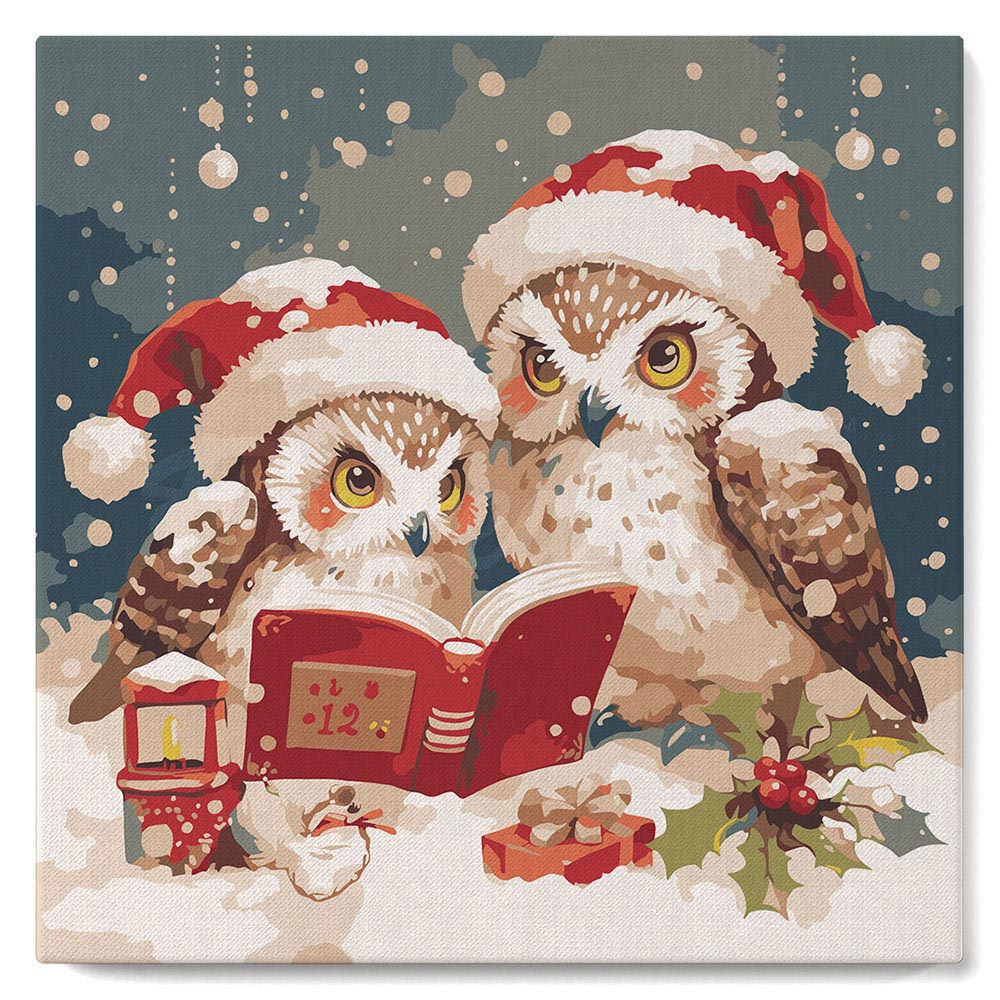Mini Malen nach Zahlen mit Rahmen - Lesende Weihnachts-Eulen
