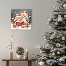 Laden Sie das Bild in den Galerie-Viewer, Mini Malen nach Zahlen mit Rahmen - Lesende Weihnachts-Eulen