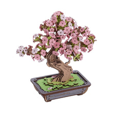 Laden Sie das Bild in den Galerie-Viewer, 3D Puzzle - Sakura-Bonsai