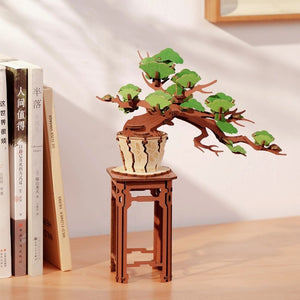 3D Puzzle - Immergrüner Kiefern-Bonsai