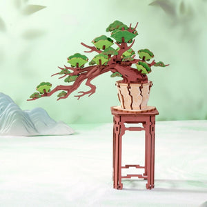 3D Puzzle - Immergrüner Kiefern-Bonsai