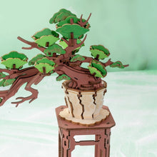 Laden Sie das Bild in den Galerie-Viewer, 3D Puzzle - Immergrüner Kiefern-Bonsai