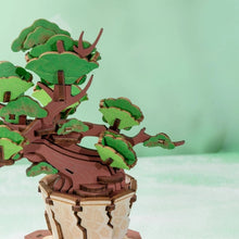 Laden Sie das Bild in den Galerie-Viewer, 3D Puzzle - Immergrüner Kiefern-Bonsai