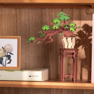 3D Puzzle - Immergrüner Kiefern-Bonsai