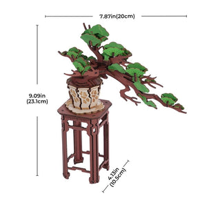 3D Puzzle - Immergrüner Kiefern-Bonsai