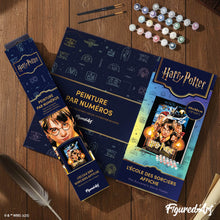 Laden Sie das Bild in den Galerie-Viewer, Harry Potter und der Stein der Weisen - Plakat