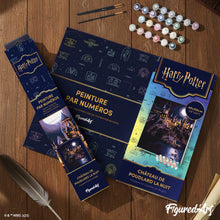 Laden Sie das Bild in den Galerie-Viewer, Harry Potter - Hogwarts-Schloss bei Nacht
