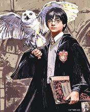 Laden Sie das Bild in den Galerie-Viewer, Malen nach Zahlen Figured'Art – Harry Potter und Hedwig