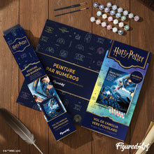 Laden Sie das Bild in den Galerie-Viewer, Harry Potter - Flug von England nach Hogwarts