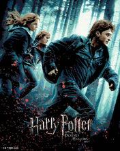 Laden Sie das Bild in den Galerie-Viewer, Malen nach Zahlen Figured'Art – Harry Potter und die Heiligtümer des Todes - Teil 1 - Plakat