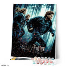 Laden Sie das Bild in den Galerie-Viewer, Harry Potter und die Heiligtümer des Todes - Teil 1 - Plakat
