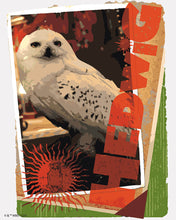 Laden Sie das Bild in den Galerie-Viewer, Malen nach Zahlen Figured'Art – Harry Potter - Hedwig-Karte
