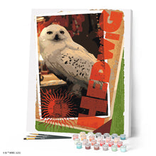 Laden Sie das Bild in den Galerie-Viewer, Harry Potter - Hedwig-Karte