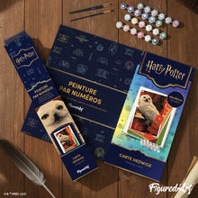 Laden Sie das Bild in den Galerie-Viewer, Harry Potter - Hedwig-Karte