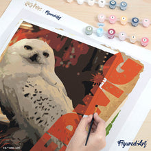 Laden Sie das Bild in den Galerie-Viewer, Harry Potter - Hedwig-Karte