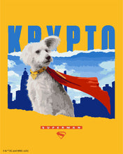 Laden Sie das Bild in den Galerie-Viewer, Malen nach Zahlen Figured'Art – Superman - Krypto mit Skyline