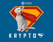 Laden Sie das Bild in den Galerie-Viewer, Malen nach Zahlen Figured'Art – Superman - Krypto mit “S”-Schild