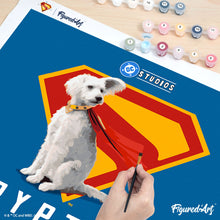 Laden Sie das Bild in den Galerie-Viewer, Superman - Krypto mit “S”-Schild