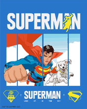 Laden Sie das Bild in den Galerie-Viewer, Malen nach Zahlen Figured'Art – Superman im Flug mit Krypto