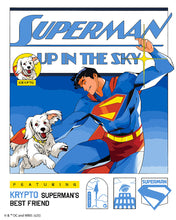 Laden Sie das Bild in den Galerie-Viewer, Malen nach Zahlen Figured'Art – Superman am Himmel