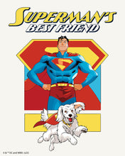 Laden Sie das Bild in den Galerie-Viewer, Malen nach Zahlen Figured'Art – Superman's bester Freund