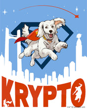 Laden Sie das Bild in den Galerie-Viewer, Malen nach Zahlen Figured'Art – Superman - Krypto im Flug
