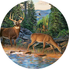 Laden Sie das Bild in den Galerie-Viewer, 2D Holzpuzzle – Hirsch in der Natur