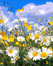 Laden Sie das Bild in den Galerie-Viewer, Gänseblümchen und blauer Himmel 2 | Figured&#39;Art
