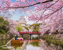 Laden Sie das Bild in den Galerie-Viewer, Malen nach Zahlen fŸr Erwachsene |ÊKirschblüten am Fluss in Japan | Figured&#39;Art