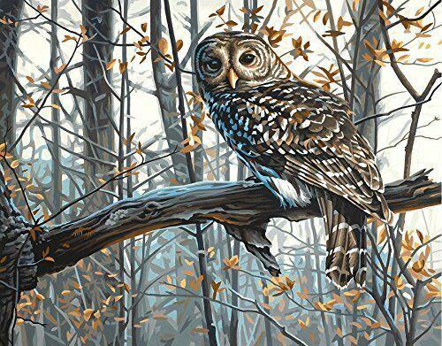 Malen nach Zahlen fŸr Erwachsene |ÊSchöne Eule im Wald | Figured'Art