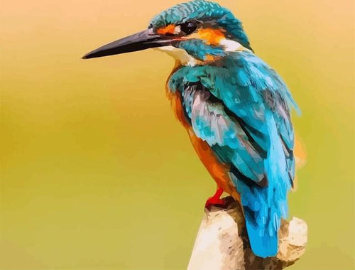 Malen nach Zahlen fŸr Erwachsene |ÊVogel mit langem Schnabel | Figured'Art