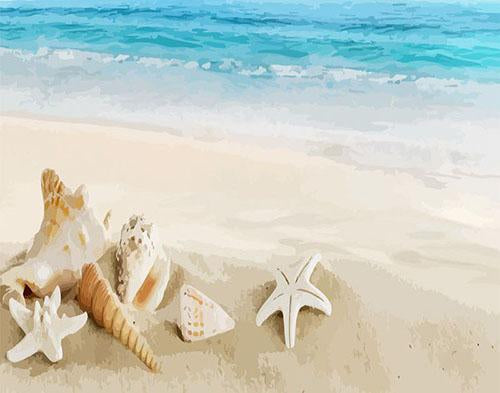 Malen nach Zahlen fŸr Erwachsene |ÊMuscheln am Strand | Figured'Art