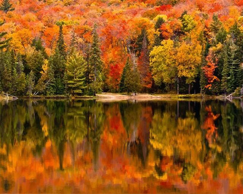Malen nach Zahlen fŸr Erwachsene |ÊReflexion im See im Herbst | Figured'Art
