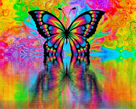 Malen nach Zahlen fŸr Erwachsene |ÊReflexion Schmetterling | Figured'Art