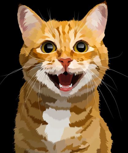 Malen nach Zahlen fŸr Erwachsene |ÊLächelnde Katze | Figured'Art