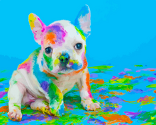 Laden Sie das Bild in den Galerie-Viewer, Malen nach Zahlen fŸr Erwachsene |ÊMalender Hund | Figured&#39;Art