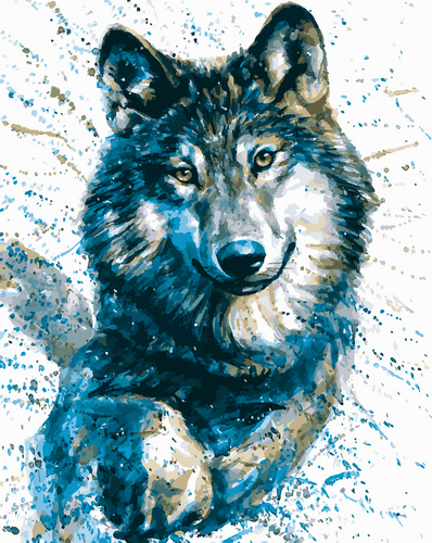 Malen nach Zahlen fŸr Erwachsene |ÊBlick des Wolfes | Figured'Art
