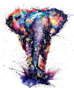 Malen nach Zahlen fŸr Erwachsene |ÊAsiatischer Elefant Malerei | Figured'Art