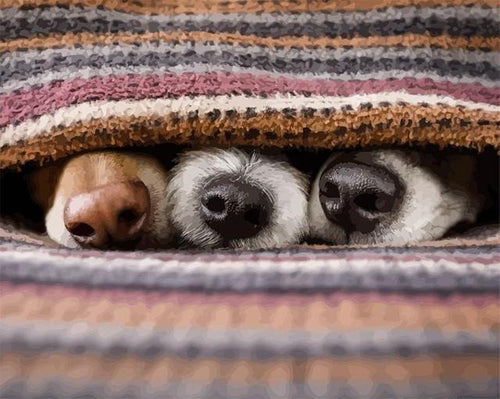 Malen nach Zahlen fŸr Erwachsene |ÊSehen Sie die Hunde? | Figured'Art