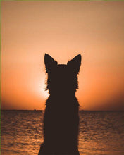 Laden Sie das Bild in den Galerie-Viewer, Malen nach Zahlen fŸr Erwachsene |ÊHund mit Blick auf den Horizont | Figured&#39;Art