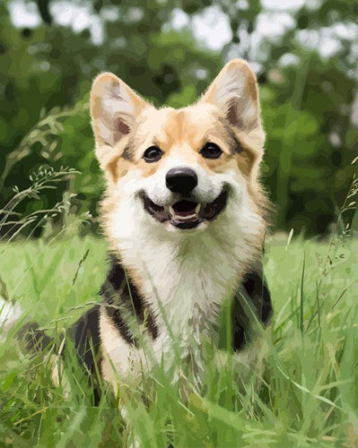 Malen nach Zahlen fŸr Erwachsene |ÊWir lieben Hunde | Figured'Art