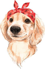 Laden Sie das Bild in den Galerie-Viewer, Malen nach Zahlen fŸr Erwachsene |ÊHund mit Stirnband | Figured&#39;Art