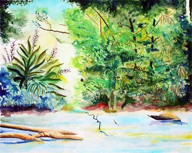 Malen nach Zahlen fŸr Erwachsene |ÊBlick auf den Regenwald | Figured'Art