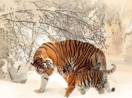 Malen nach Zahlen fŸr Erwachsene |ÊTiger und ihr Junges im Schnee | Figured'Art