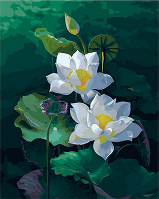 Malen nach Zahlen fŸr Erwachsene |ÊDie Blumen des kleinen Sees | Figured'Art
