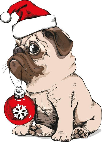 Malen nach Zahlen fŸr Erwachsene |ÊHund und Weihnachtskugel | Figured'Art