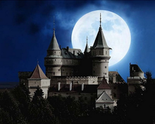 Laden Sie das Bild in den Galerie-Viewer, Malen nach Zahlen fŸr Erwachsene |ÊSchloss und Vollmond | Figured&#39;Art