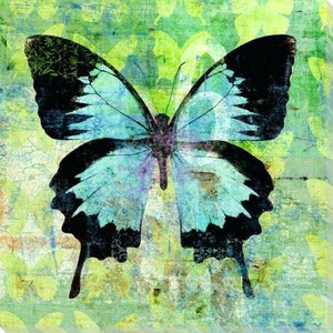 Malen nach Zahlen fŸr Erwachsene |ÊGrüner und schwarzer Schmetterling | Figured'Art