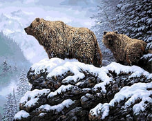 Laden Sie das Bild in den Galerie-Viewer, Malen nach Zahlen Erwachsene Bären Figured&#39;Art